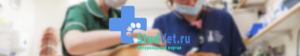 StudVet.ru - Ветеринарный портал