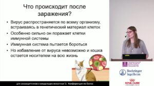 Фотченкова А. С. - Вирус иммунодефицита кошек