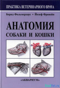 Анатомия собаки и кошки - Бернд Фольмерхаус, Йозеф Фревейн