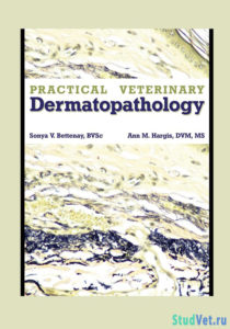 Practical Veterinary Dermatopathology for the Small Animal Clinician