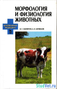 Морфология и физиология животных - Скопичев В.Г., Шумилов В.Б.