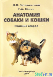 Анатомия собаки и кошки - Зеленевский Н.В.