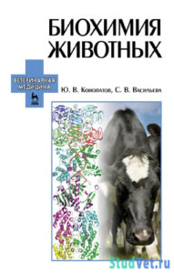 Биохимия животных - Конопатов Ю. В.